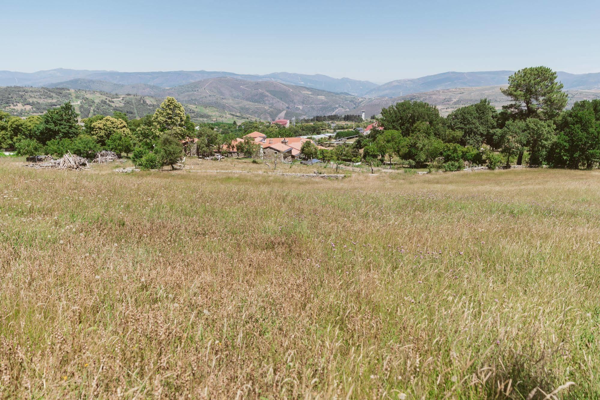Pazo Da Pena Manzaneda Ξενοδοχείο Εξωτερικό φωτογραφία