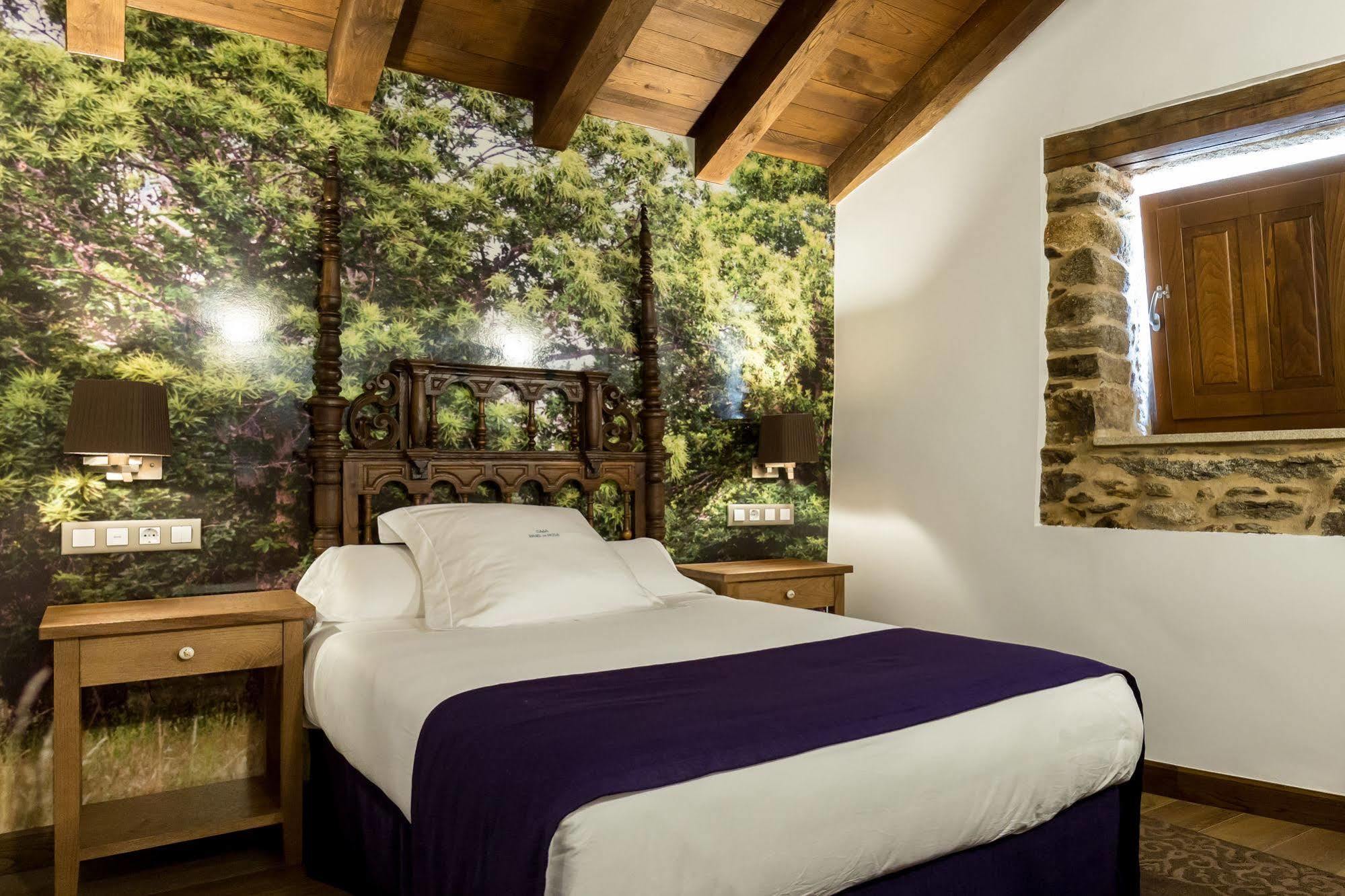 Pazo Da Pena Manzaneda Ξενοδοχείο Εξωτερικό φωτογραφία